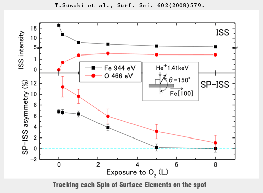 Spin Analysis of O2/Fe