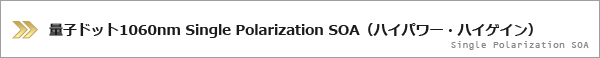 量子ドット1060nm Single Polarization SOA（ハイパワー・ハイゲイン）