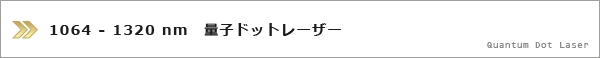 �ʎq�h�b�g���[�U�[
