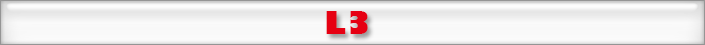 L3
